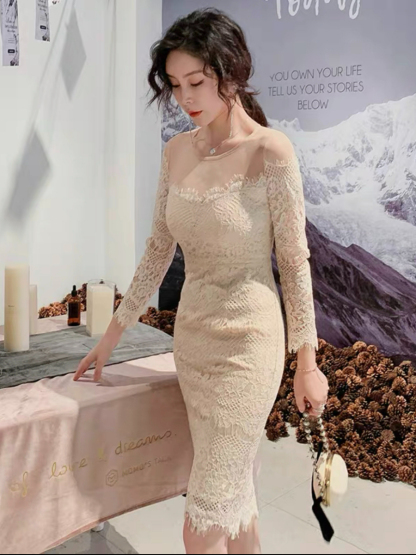 Everly Mesh Shoulder Lacey Bodycon Dress (Discounted-S Size)-The Black Bow-