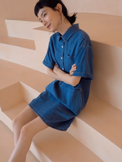 Hendrix A-Line Denim Dress