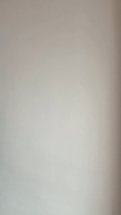 Leona Detailed 3D Floral Wrinkle Resistant Shirt 