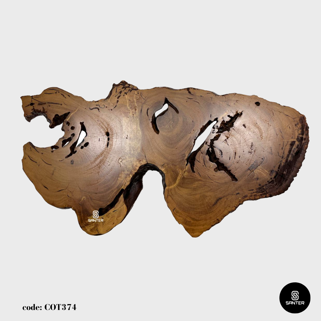 COT374. Chengal Emas Solid Wood Rustic Floating Wall Art