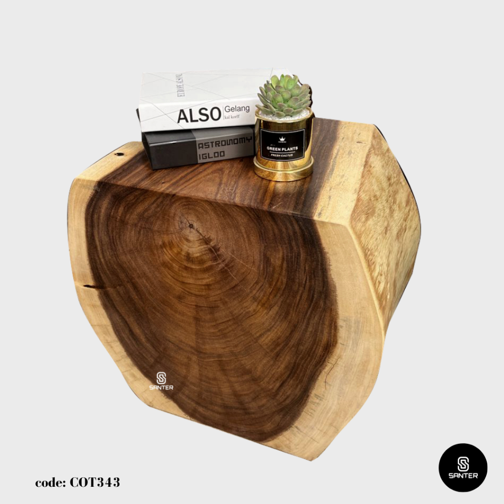 COT343. Raintree Artistic Wood Pedestal / Stump / Side Table