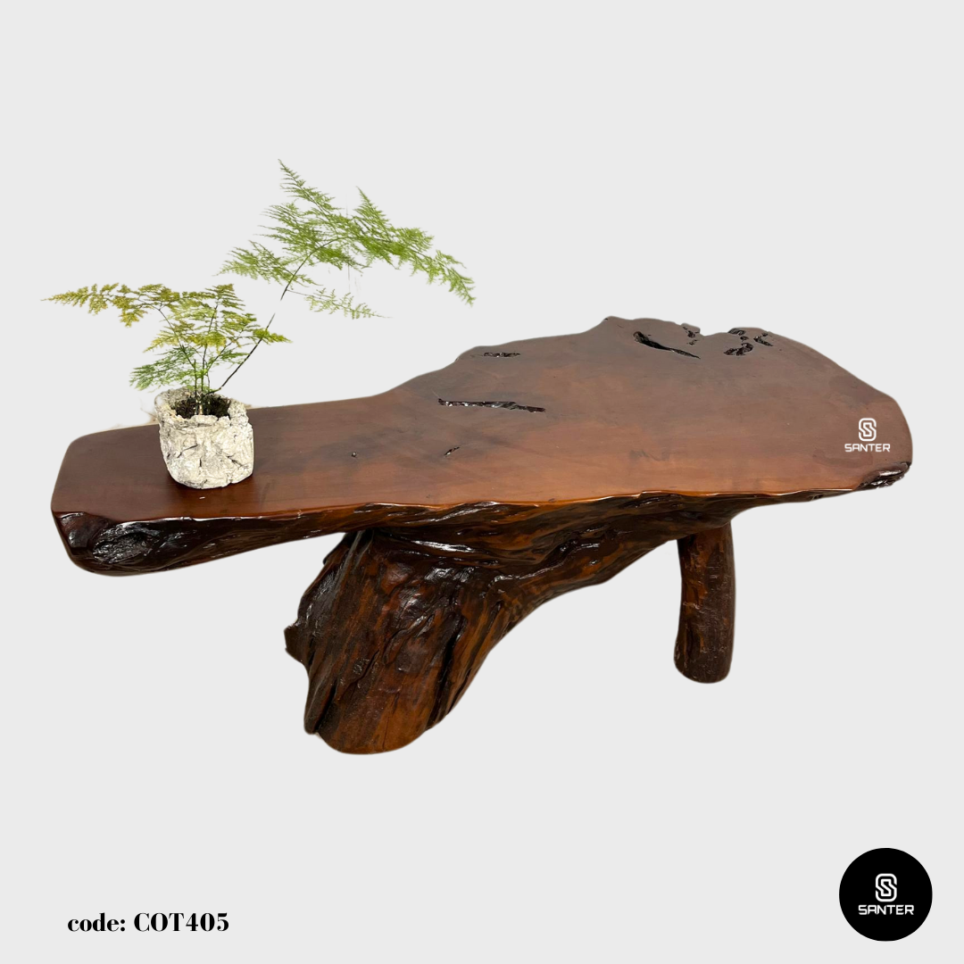 COT405. Chengal Emas Artistic Root Stump / Root Console / Coffee Table / Wood Decor