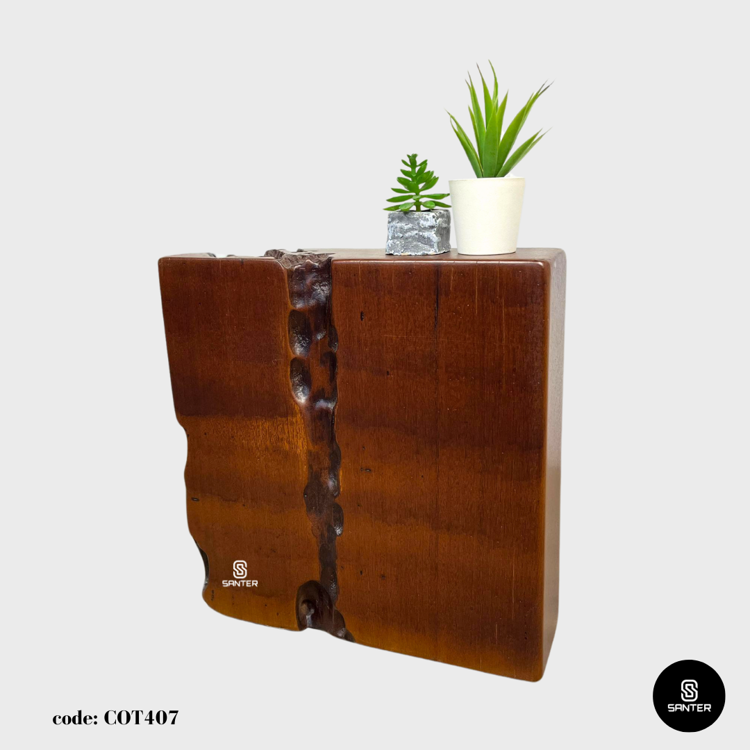 COT407. Chengal Emas Artistic Wood Pedestal / Wood Stump