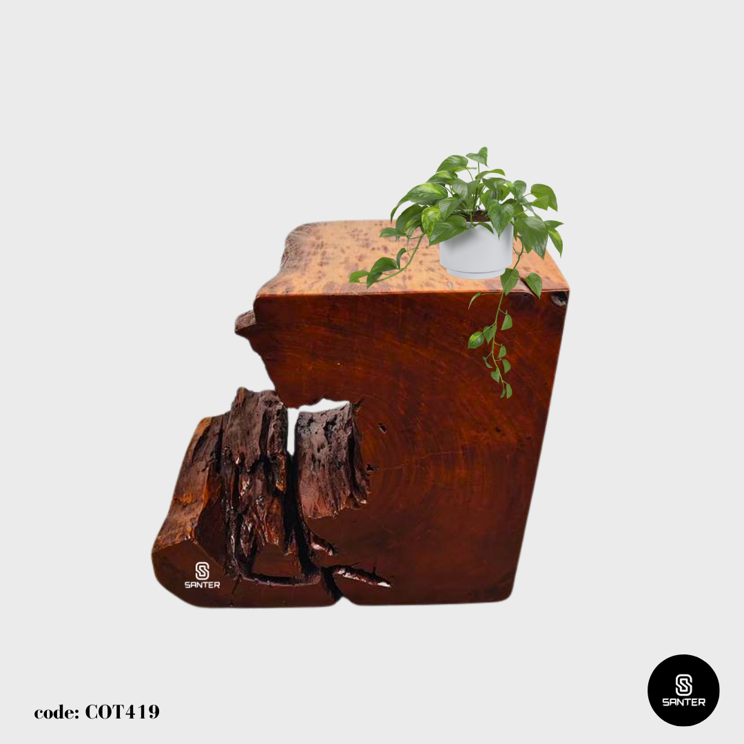 COT419. Chengal Emas Artistic Wood Pedestal/ Wooden Stump / Rustic Stump / Plant Stool