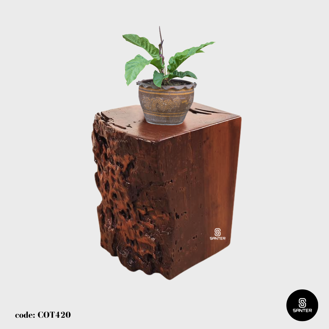 COT420. Chengal Emas Artistic Wood Pedestal/ Wooden Stump / Rustic Stump / Plant Stool