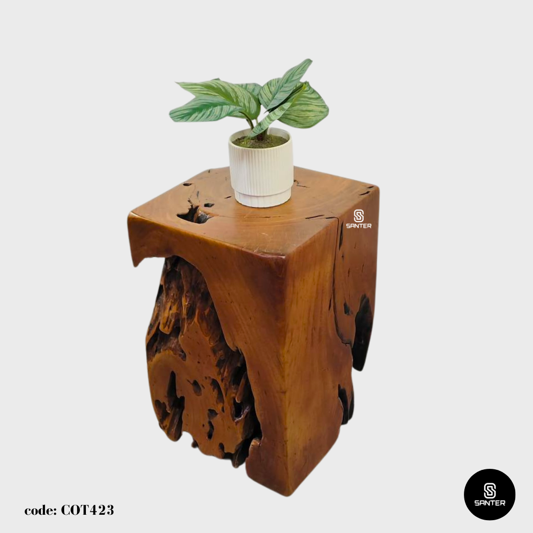COT423. Chengal Emas Artistic Wood Pedestal/ Wooden Stump / Rustic Stump / Plant Stool