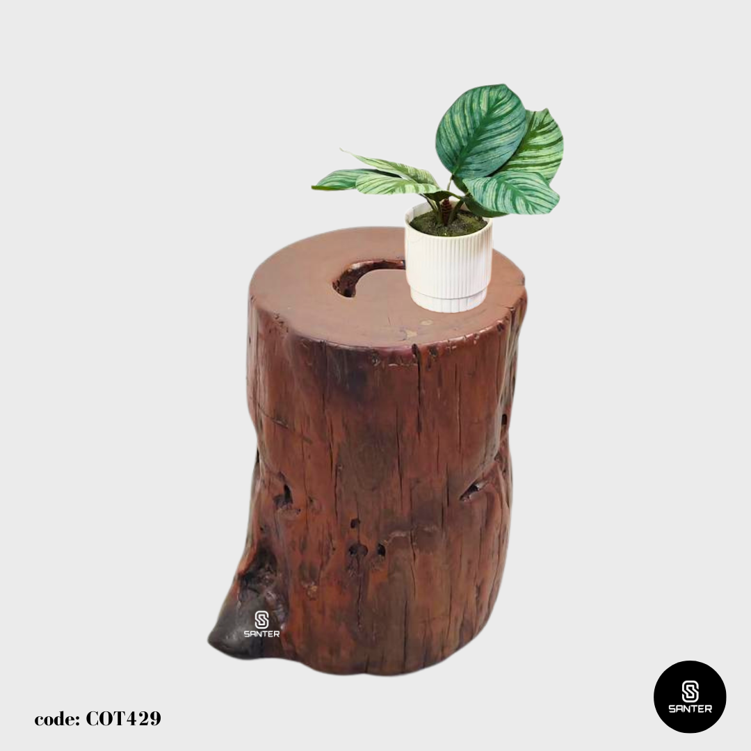 COT429. Chengal Emas Artistic Wood Pedestal/ Wooden Stump / Rustic Stump / Plant Stool
