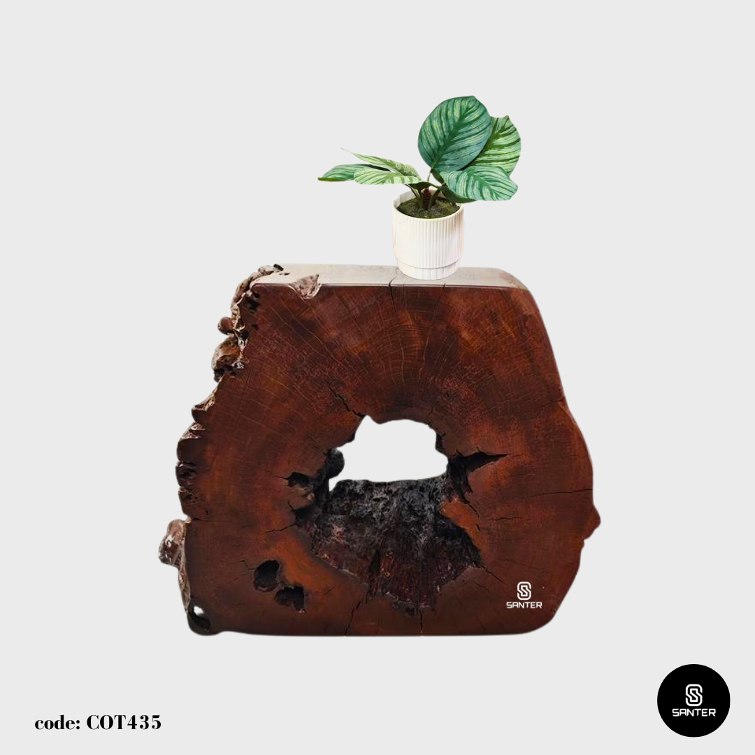 COT435. Chengal Emas Artistic Wood Pedestal/ Wooden Stump / Rustic Stump / Plant Stool