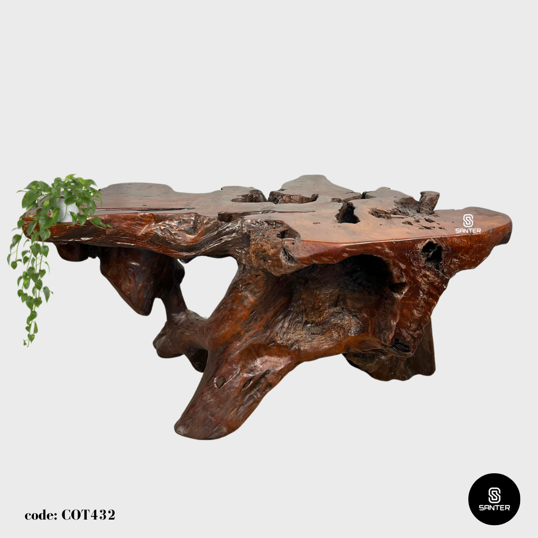 COT432. Chengal Emas Artistic Root Console / Artistic Wood Stump / Root Stump