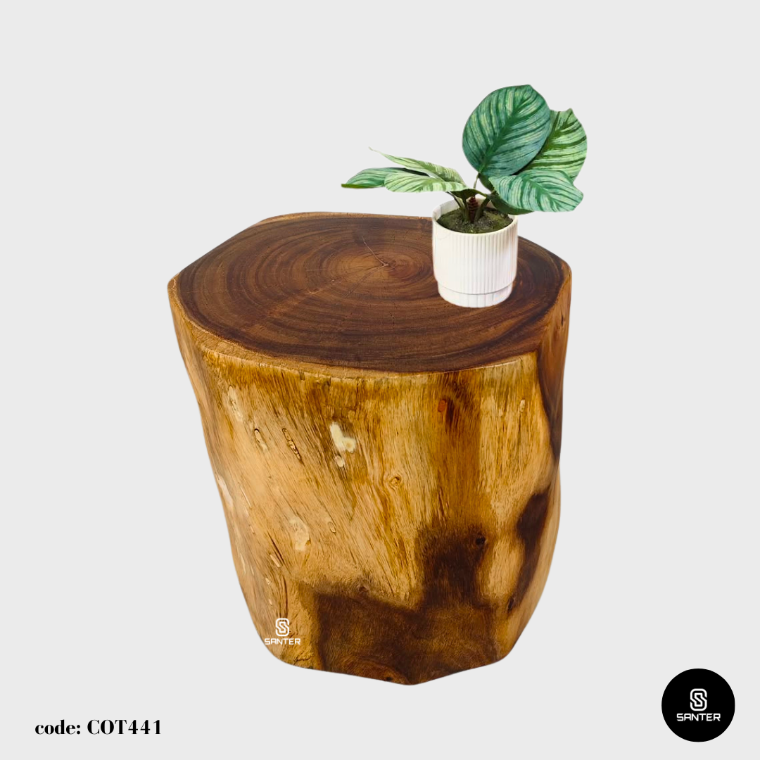 COT441. Raintree Wood Artistic Wood Pedestal/ Stump/ Side Table/ Stool