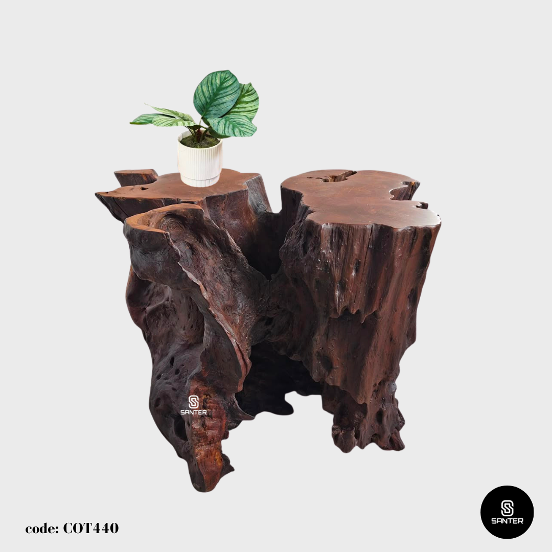 COT440. Chengal Emas Artistic Root Console / Artistic Wood Stump / Root Stump