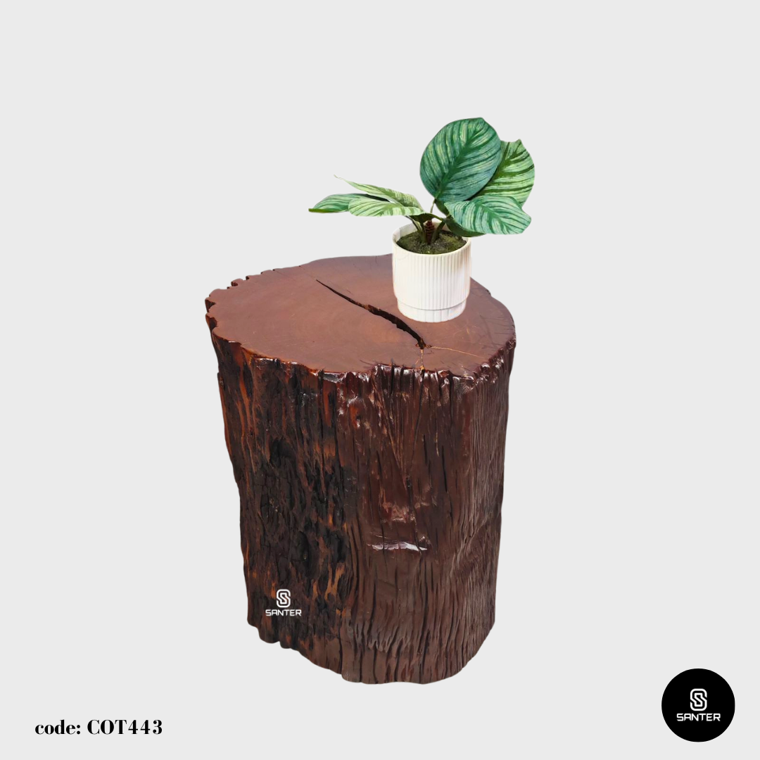 COT443. Chengal Emas Artistic Wood Pedestal/ Stump/ Side Table/ Stool