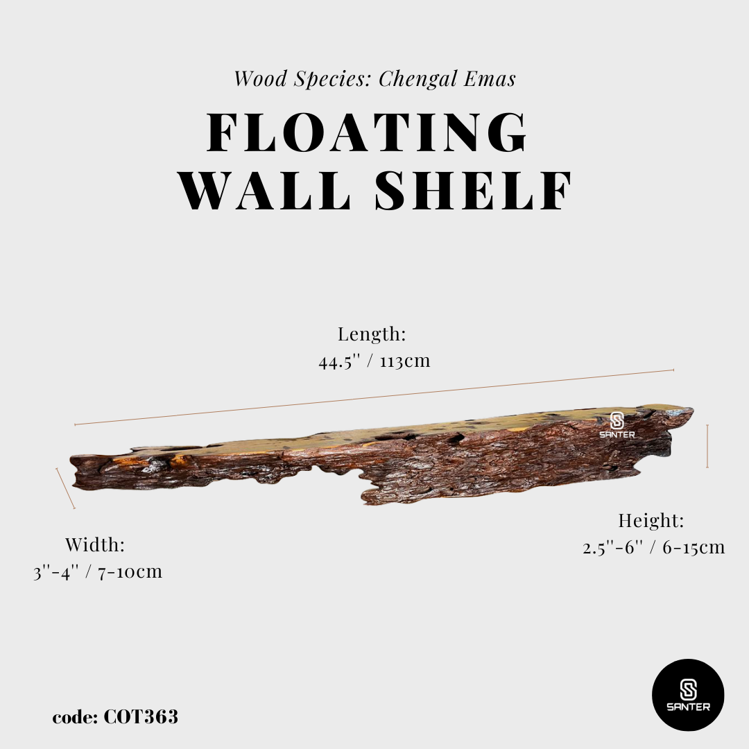 COT363. Chengal Emas Live Edge Floating Wall Shelf / Wall Art