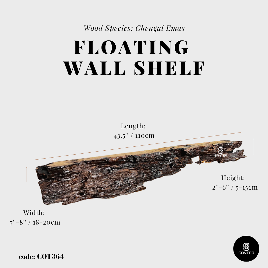 COT364. Chengal Emas Live Edge Floating Wall Shelf / Wall Art