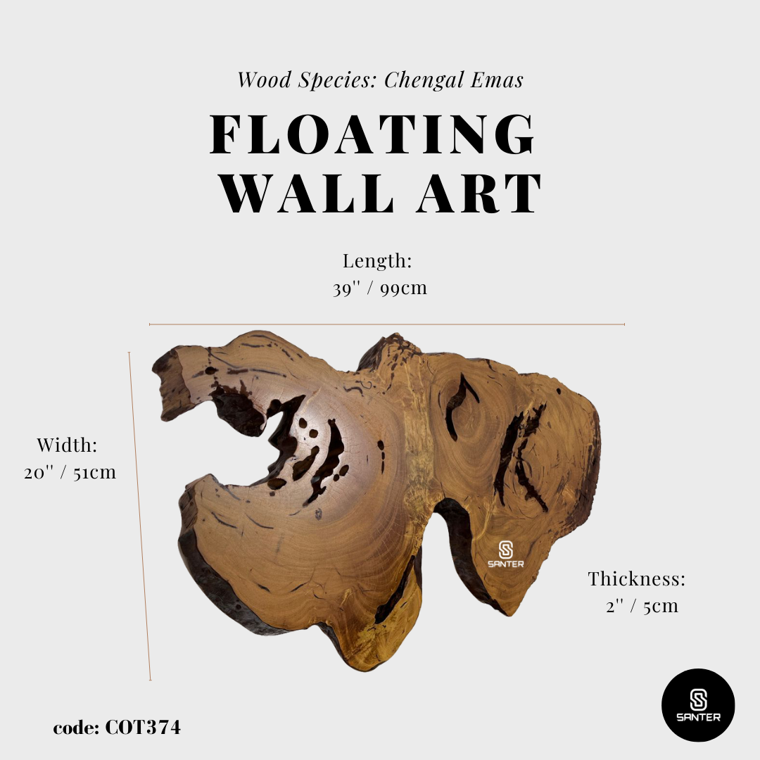 COT374. Chengal Emas Solid Wood Rustic Floating Wall Art