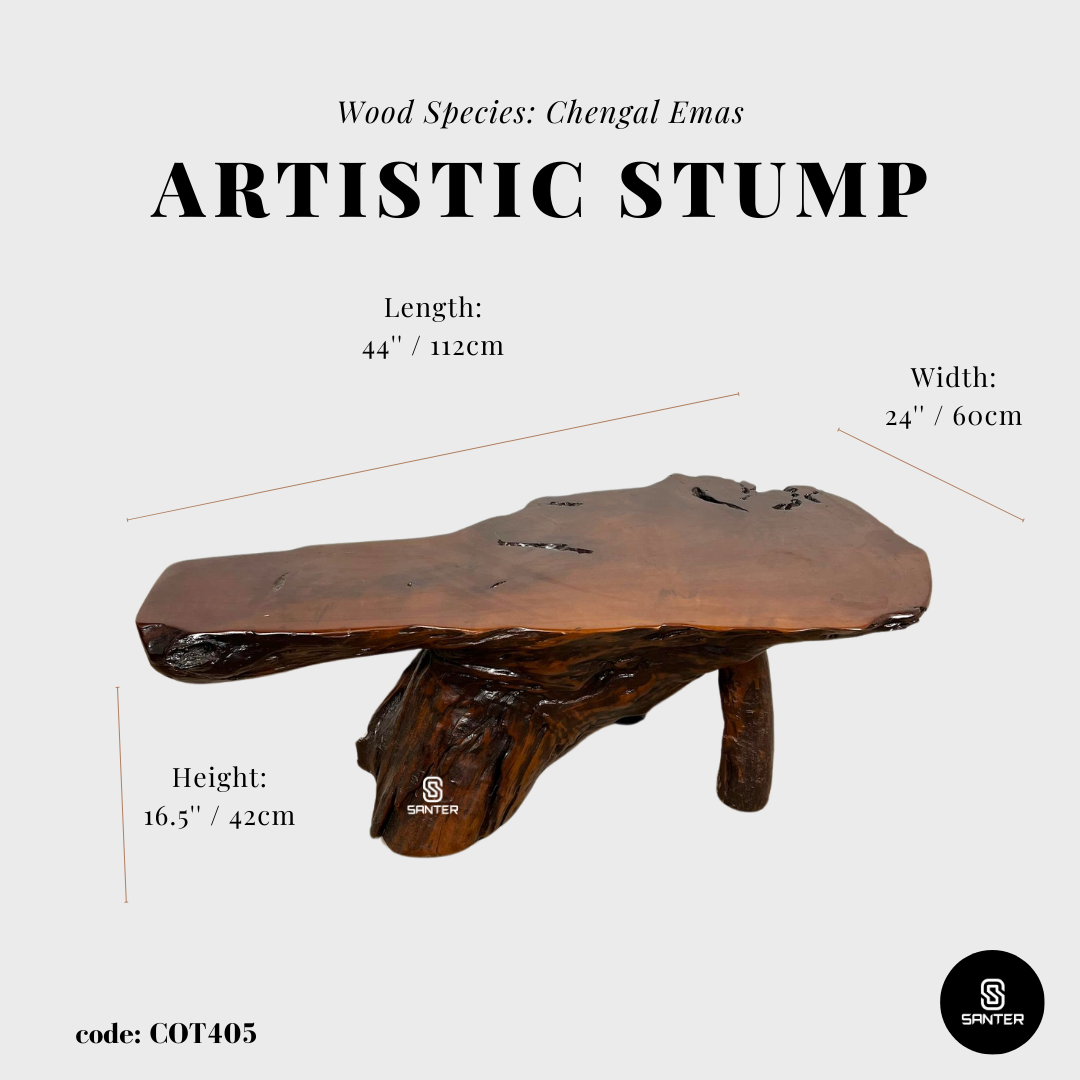 COT405. Chengal Emas Artistic Root Stump / Root Console / Coffee Table / Wood Decor