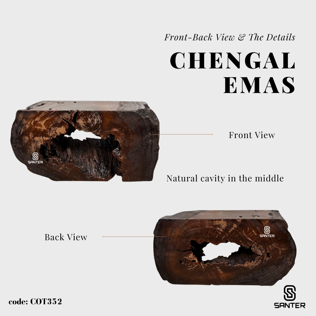 COT352. Chengal Emas Artistic Wood Pedestal/ Stump/ Bench/ Coffee Table