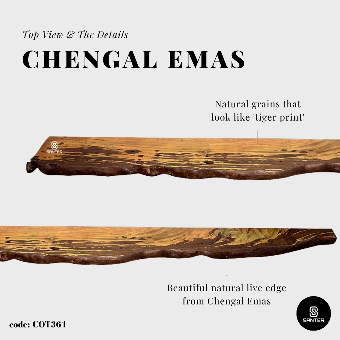 COT361. Chengal Emas Solid Wood Live Edge Floating Wall Shelf