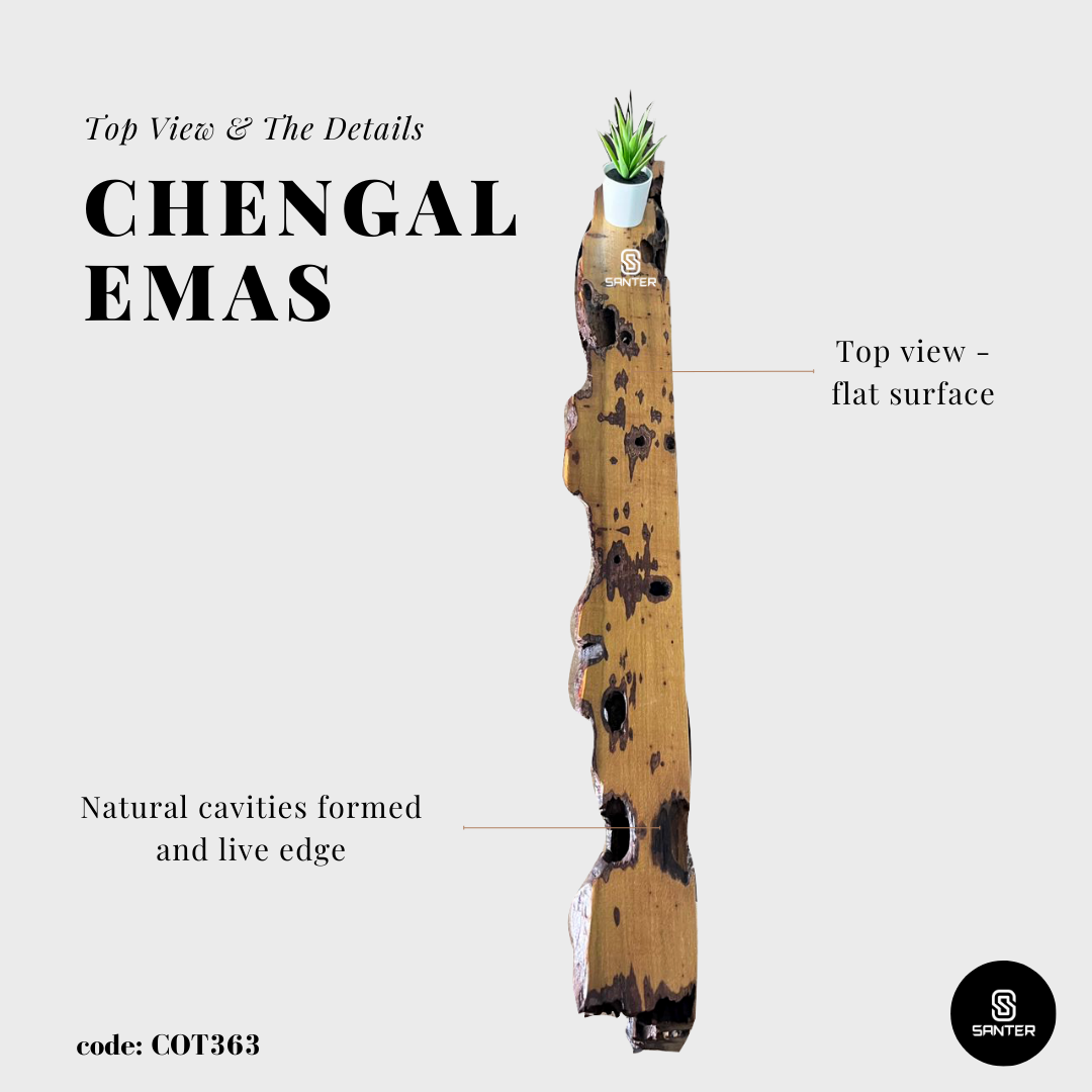 COT363. Chengal Emas Live Edge Floating Wall Shelf / Wall Art