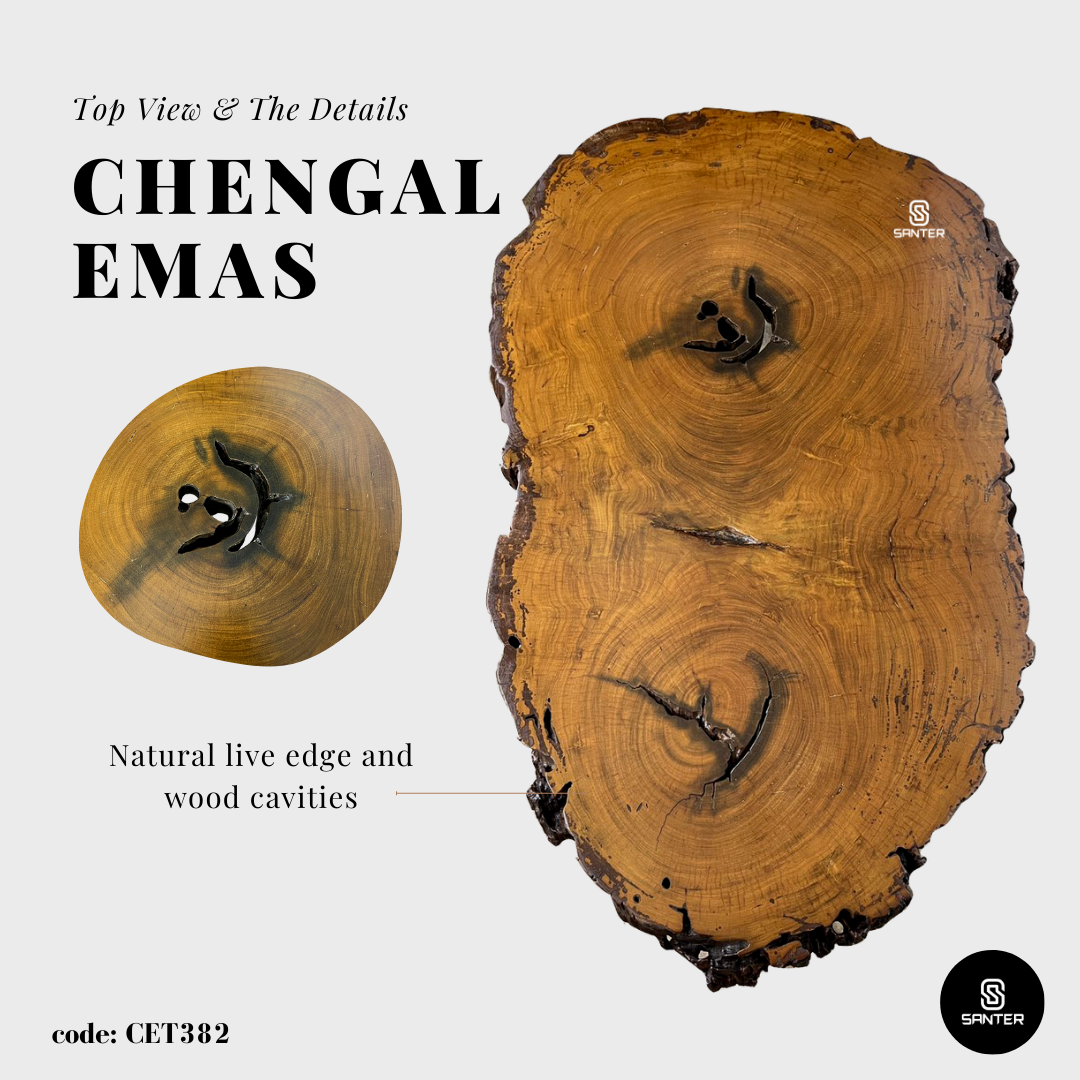 CET382. Chengal Emas Solid Wood Rustic Coffee Table