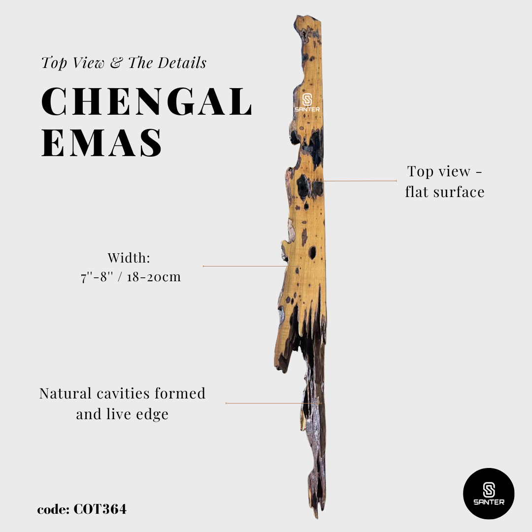 COT364. Chengal Emas Live Edge Floating Wall Shelf / Wall Art
