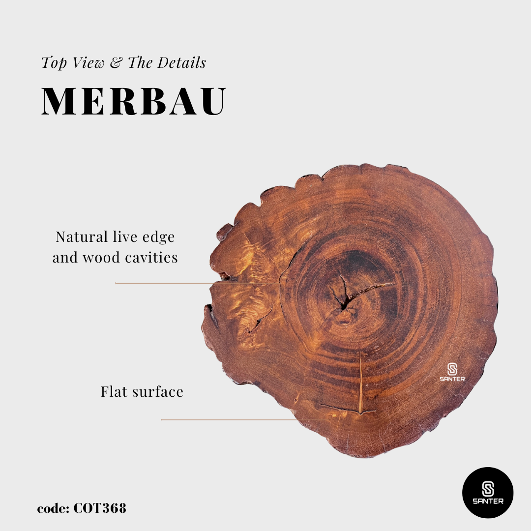 COT368. Merbau Artistic Wood Pedestal/ Stump/ Side Table/ Stool