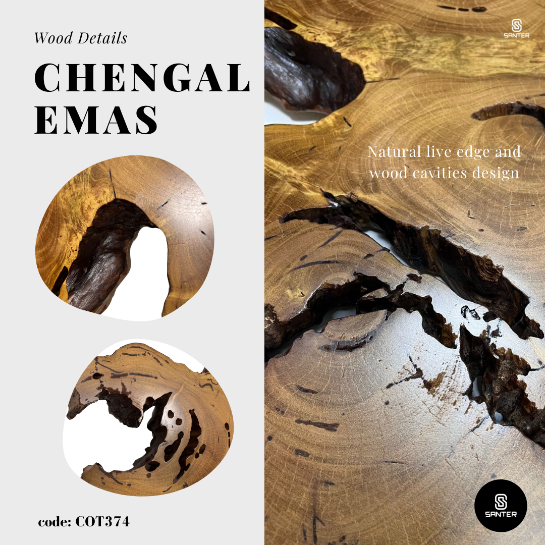 COT374. Chengal Emas Solid Wood Rustic Floating Wall Art