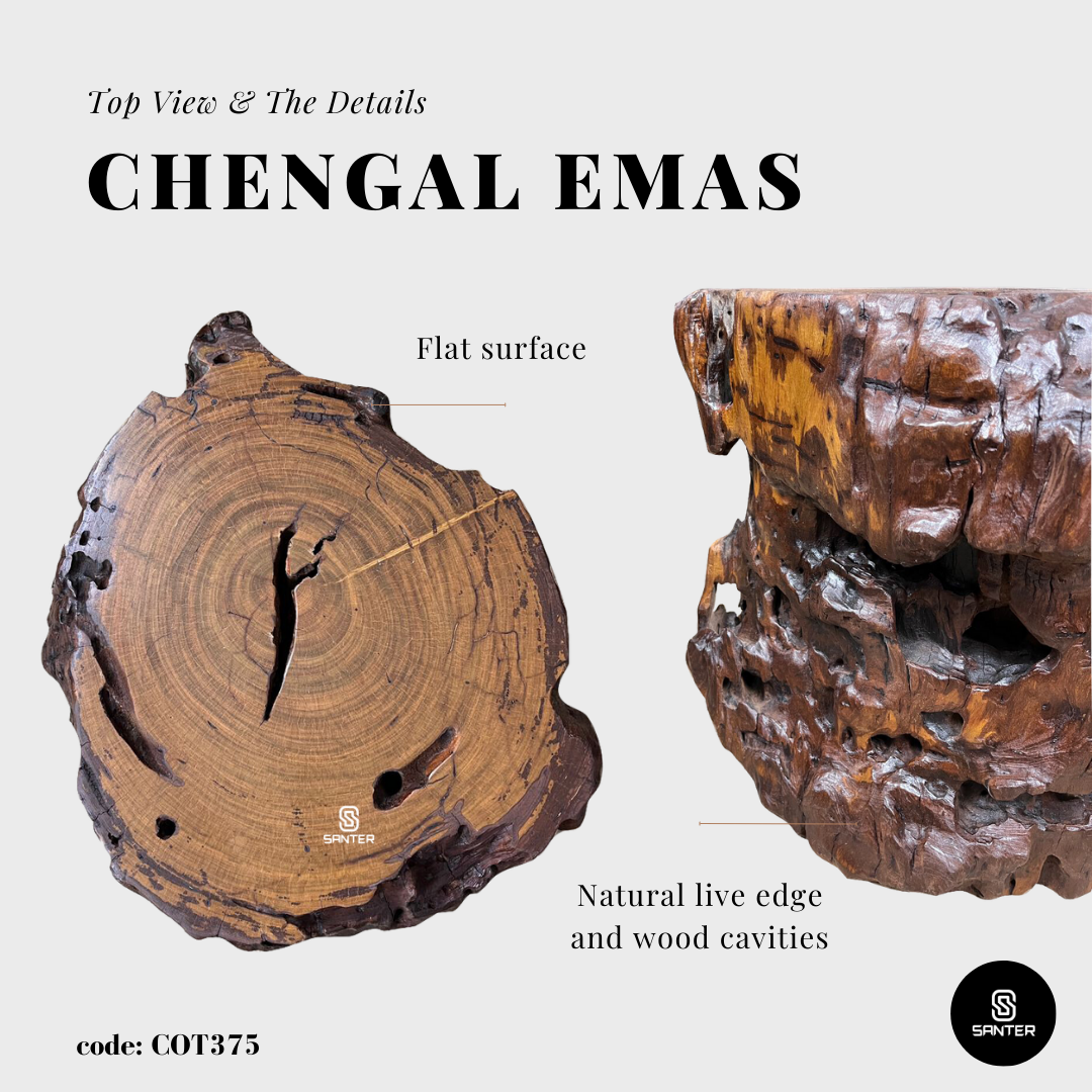 COT375. Chengal Emas Artistic Wood Pedestal/ Stump/ Side Table