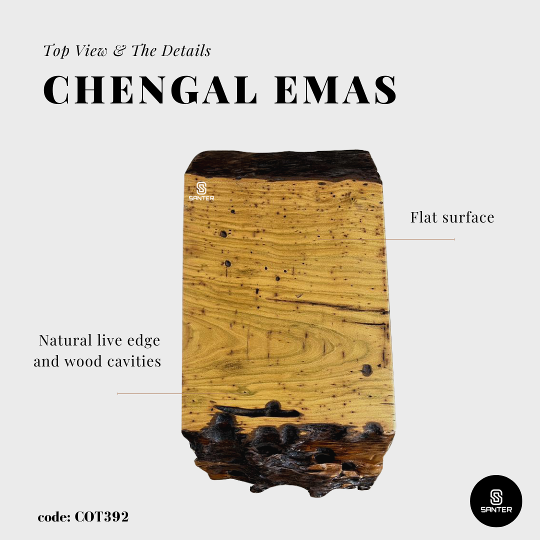 COT392. Chengal Emas Artistic Wood Pedestal/ Stump/ Side Table/ Stool