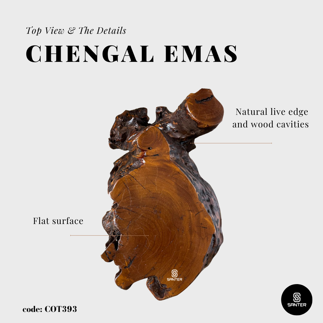 COT393. Chengal Emas Rustic Wood Pedestal/ Stump/ Side Table