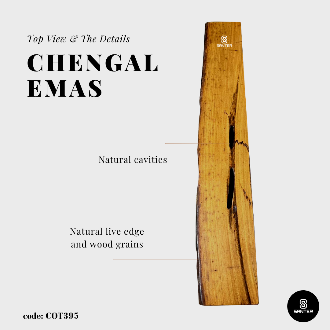 COT395. Chengal Emas Solid Wood Live Edge Floating Wall Shelf