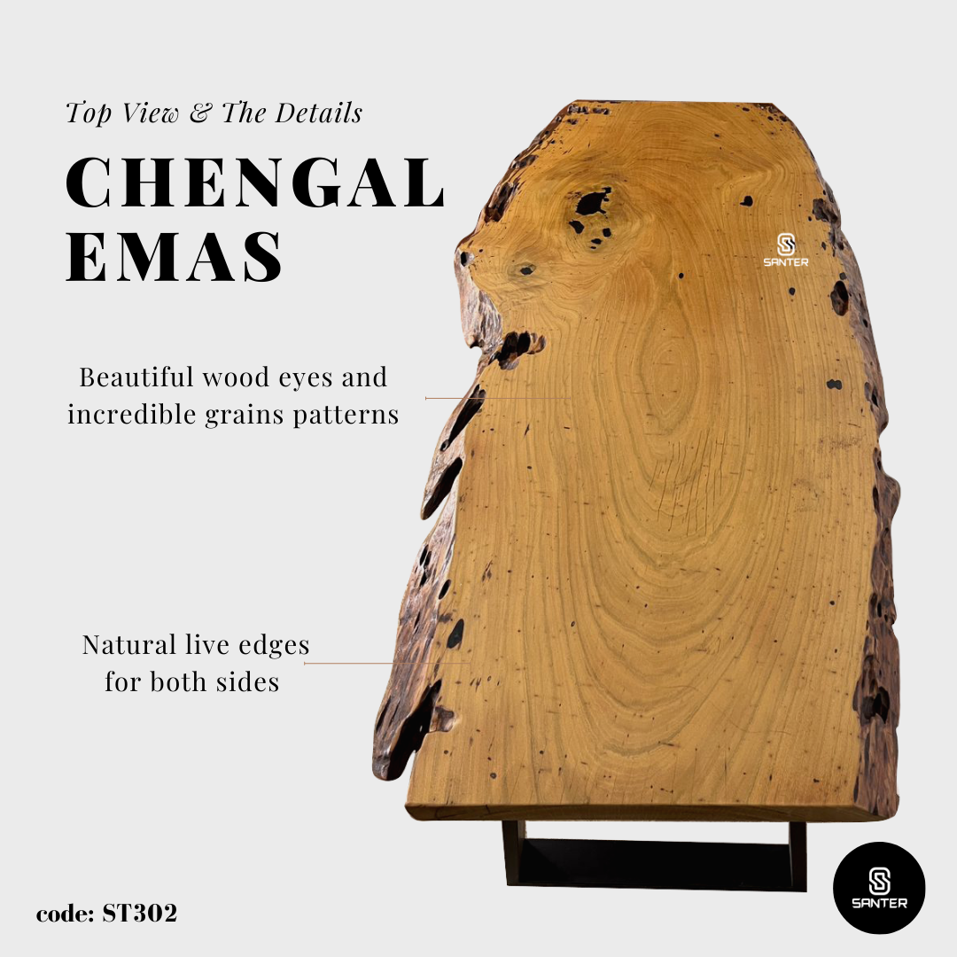 ST302. Chengal Emas Solid Wood Rustic Office Table/ Study Table/ Tea Table