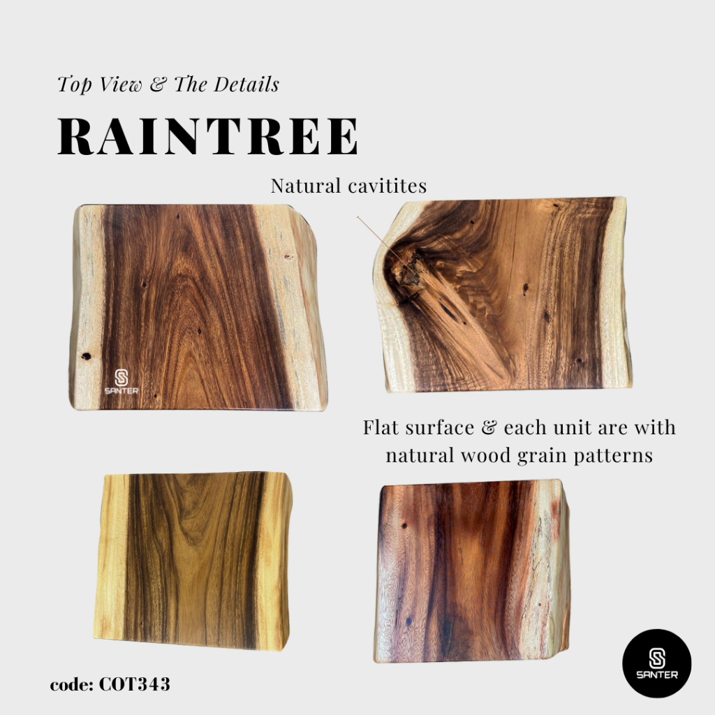 COT343. Raintree Artistic Wood Pedestal / Stump / Side Table