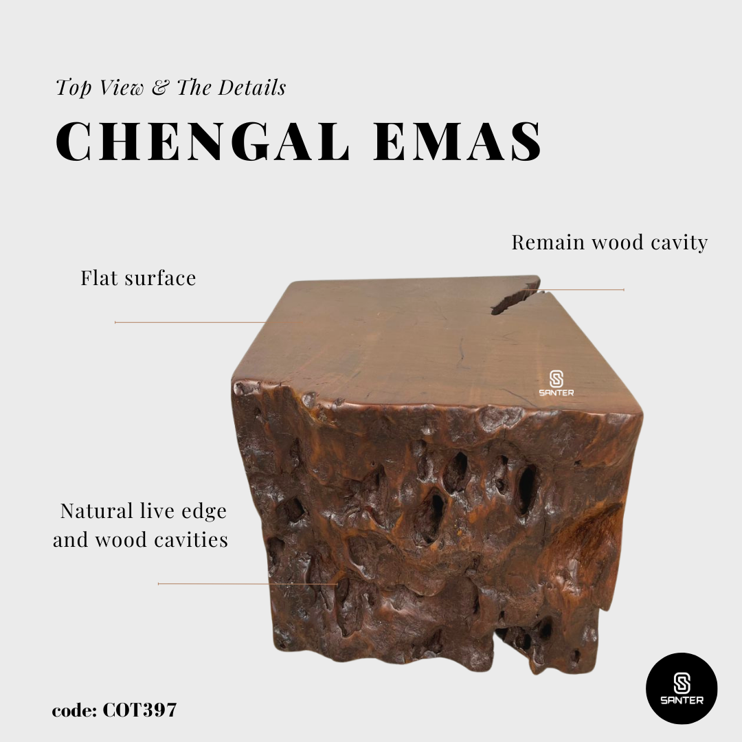 COT397. Chengal Emas Artistic Wood Pedestal/ Stump/ Small Stool