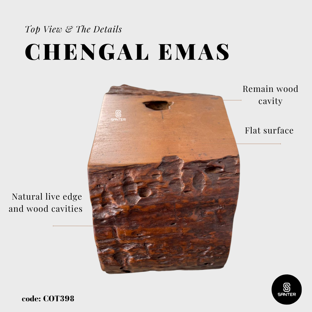 COT398. Chengal Emas Artistic Wood Pedestal/ Stump/ Side Table/ Stool