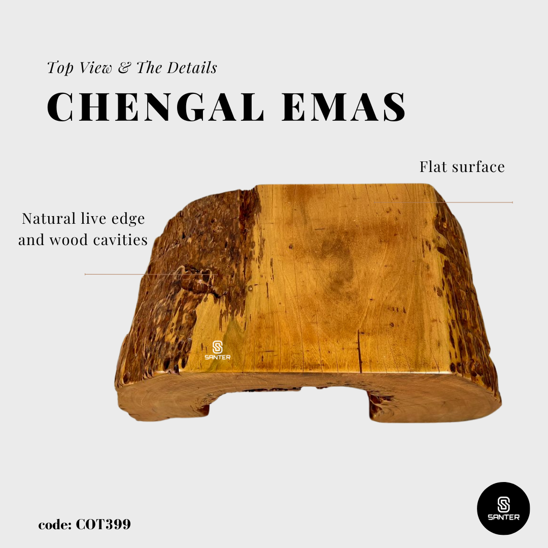 COT399. Chengal Emas Artistic Wood Pedestal/ Stump/ Side Table/ Stool