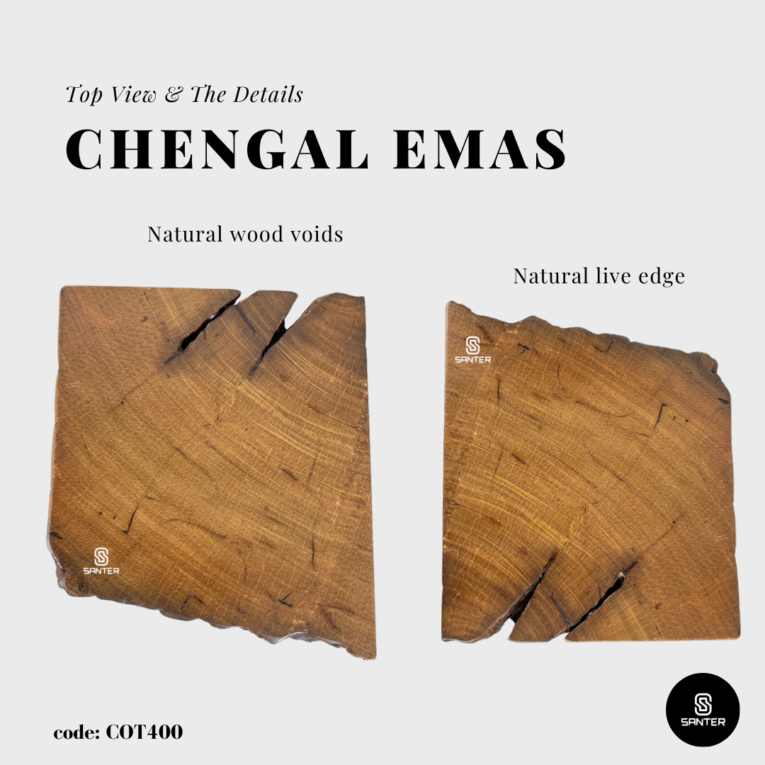 COT400. Chengal Emas Artistic Wood Pedestal/ Stump/ Side Table/ Stool