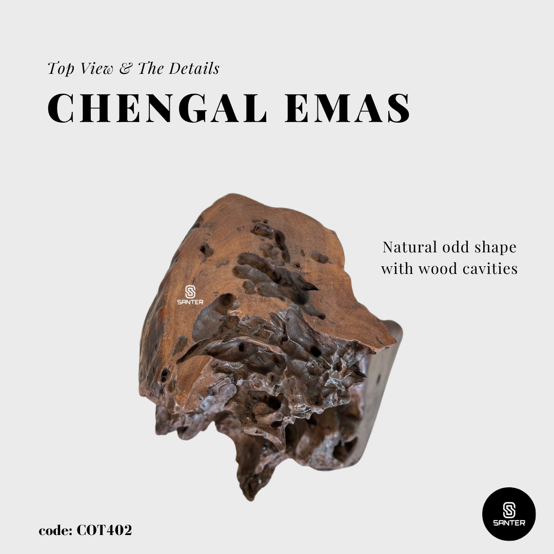 COT402. Chengal Emas Artistic Wood Pedestal/ Stump/ Side Table/ Stool