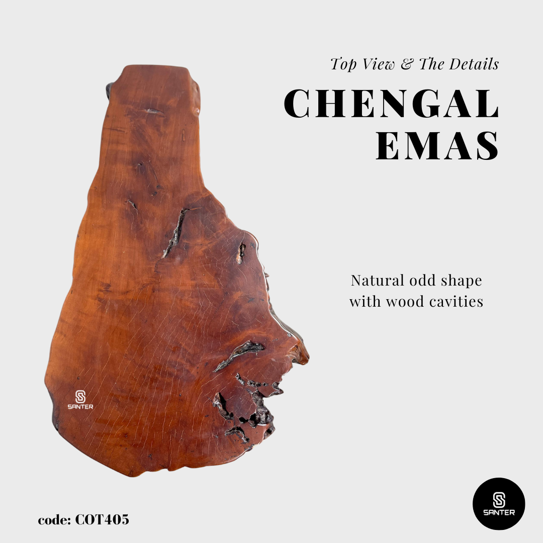 COT405. Chengal Emas Artistic Root Stump / Root Console / Coffee Table / Wood Decor