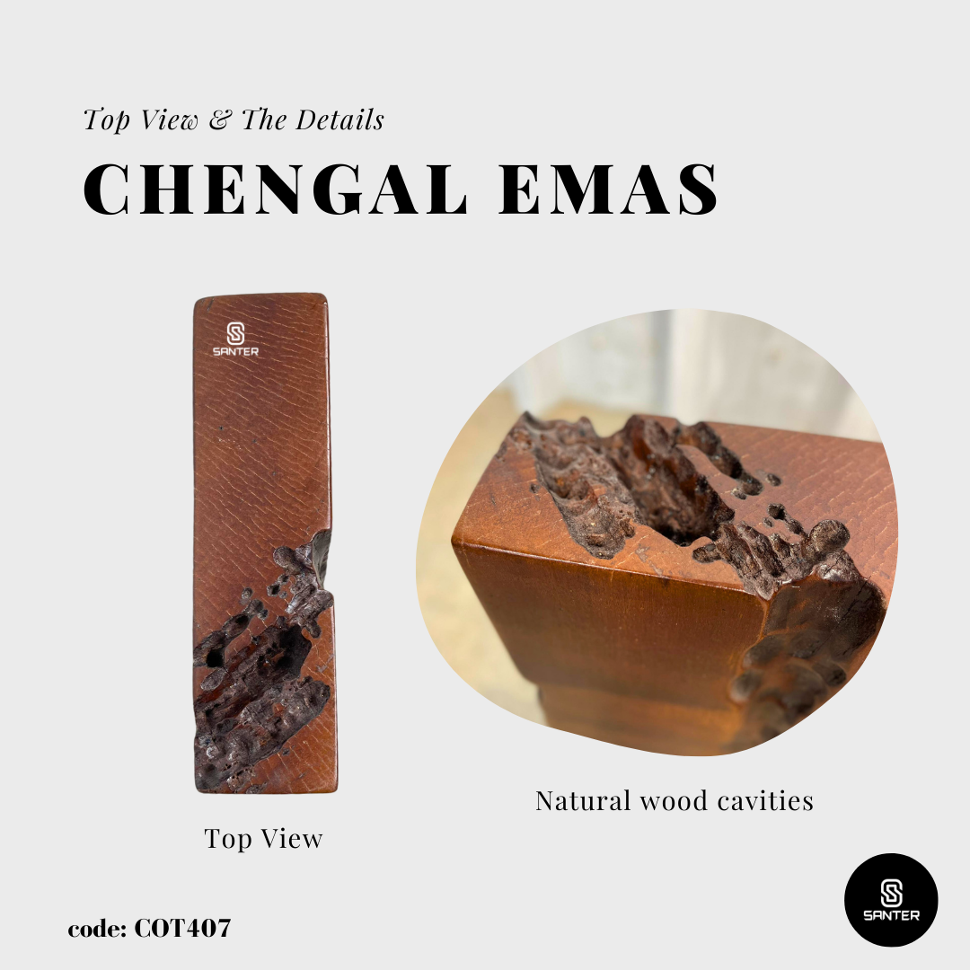 COT407. Chengal Emas Artistic Wood Pedestal / Wood Stump