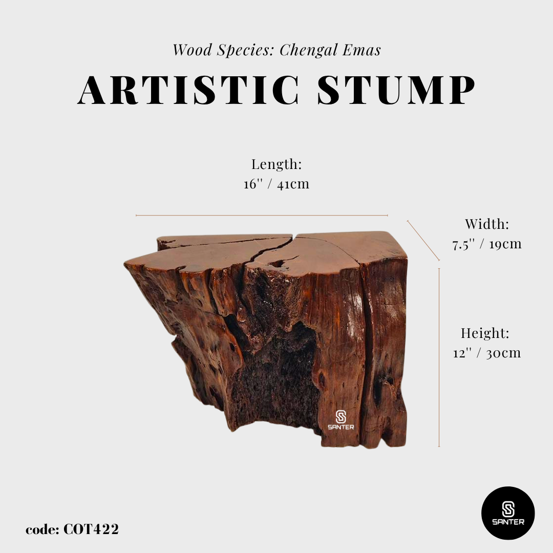 COT422. Chengal Emas Artistic Wood Pedestal/ Wooden Stump / Rustic Stump / Plant Stool