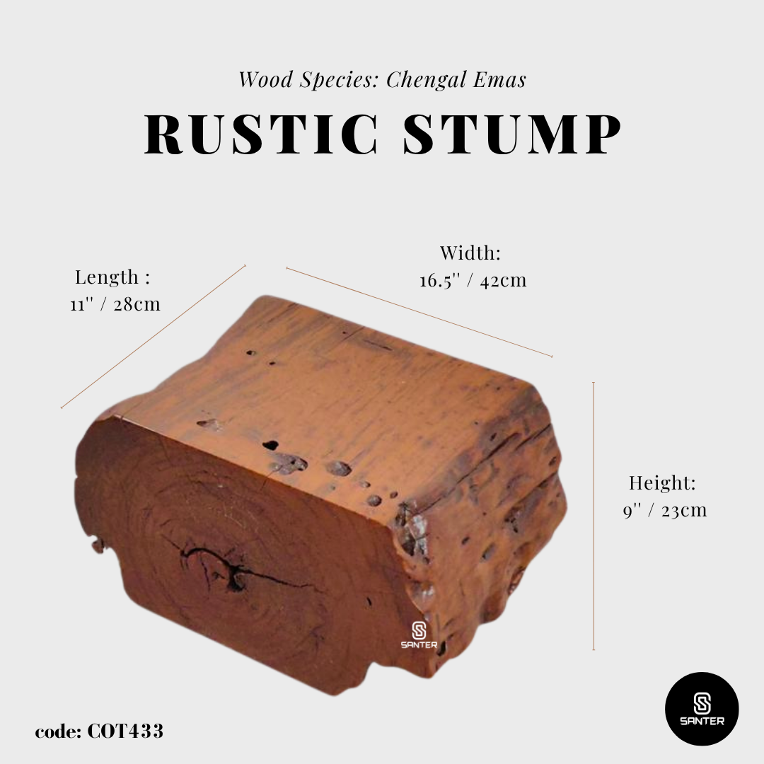 COT433. Chengal Emas Artistic Wood Pedestal/ Wooden Stump / Rustic Stump / Plant Stool