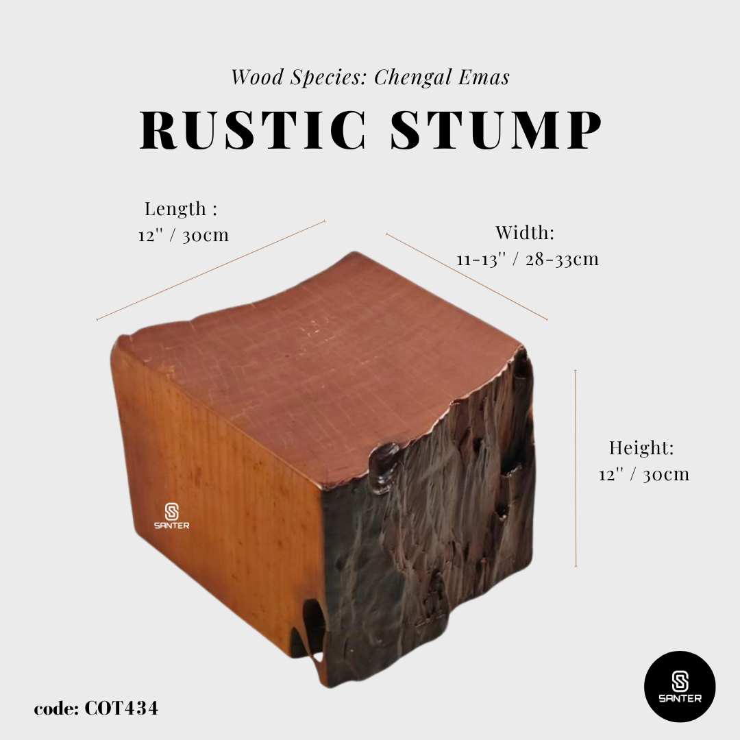 COT434. Chengal Emas Artistic Wood Pedestal/ Wooden Stump / Rustic Stump / Plant Stool
