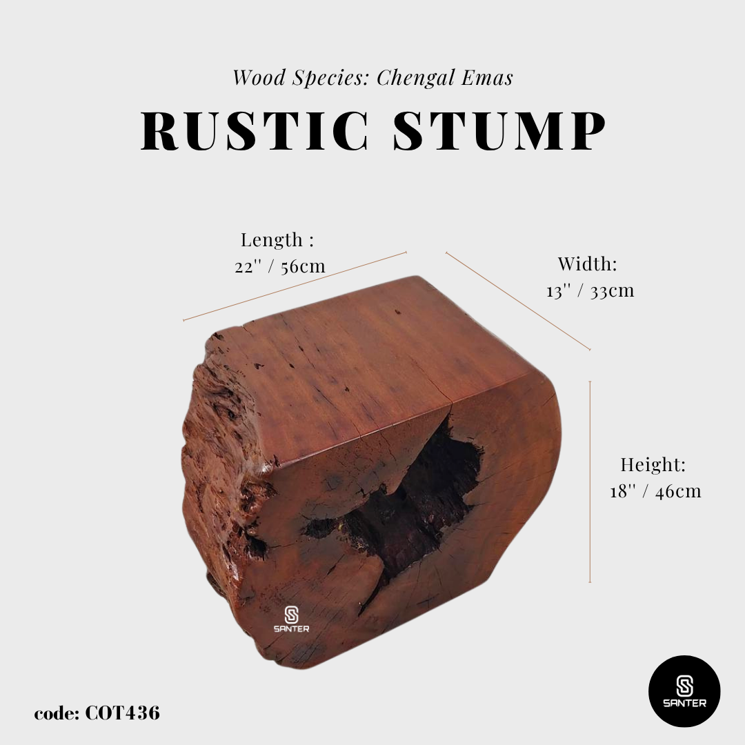 COT436. Chengal Emas Artistic Wood Pedestal/ Wooden Stump / Rustic Stump / Plant Stool