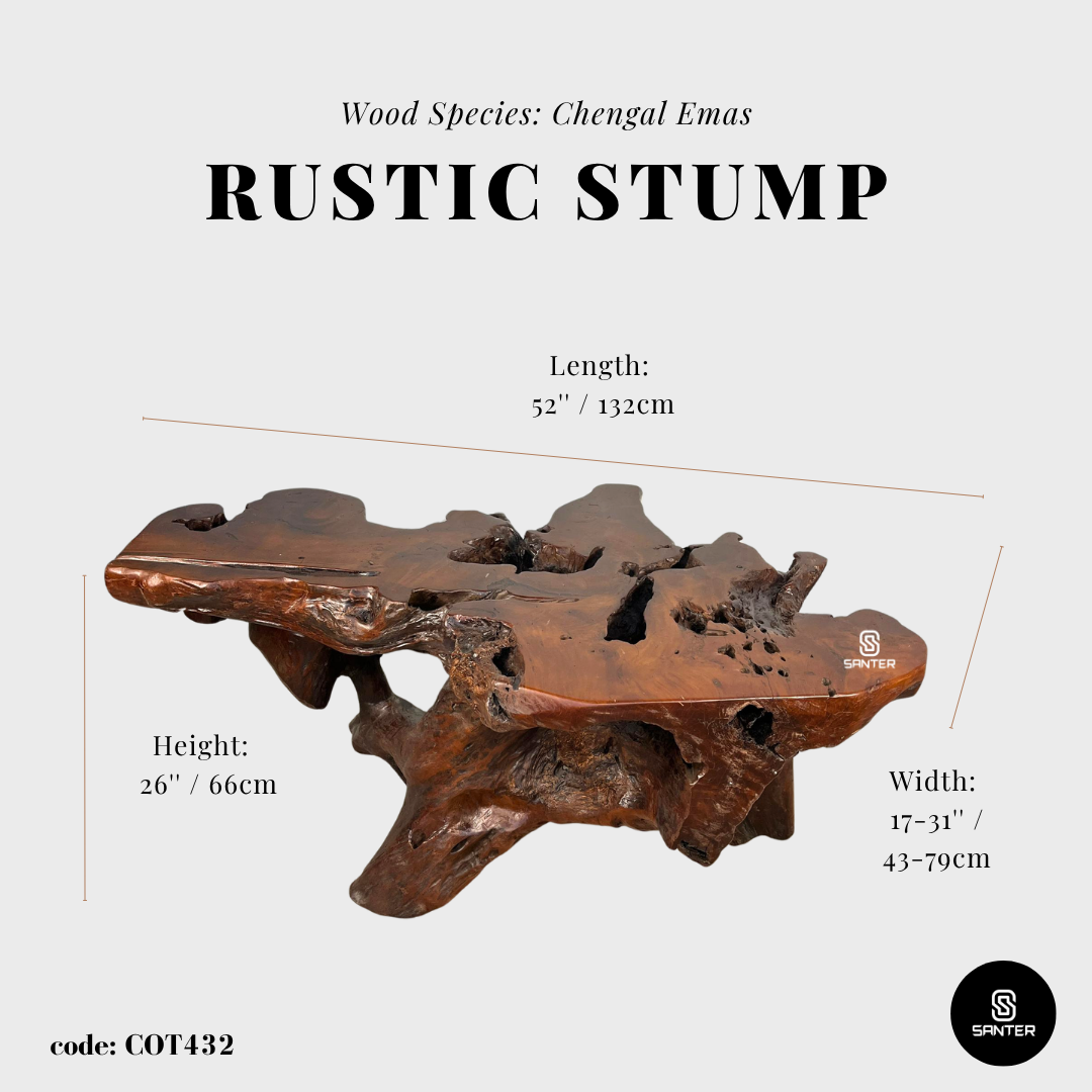 COT432. Chengal Emas Artistic Root Console / Artistic Wood Stump / Root Stump