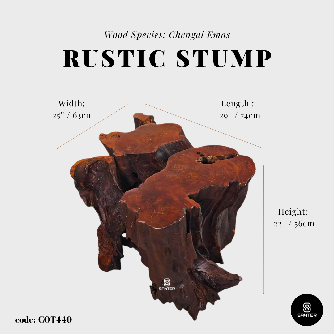 COT440. Chengal Emas Artistic Root Console / Artistic Wood Stump / Root Stump