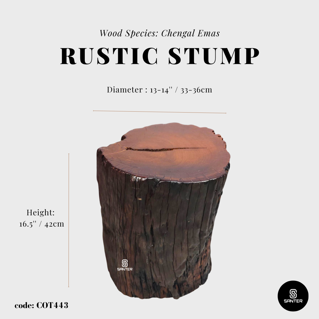 COT443. Chengal Emas Artistic Wood Pedestal/ Stump/ Side Table/ Stool