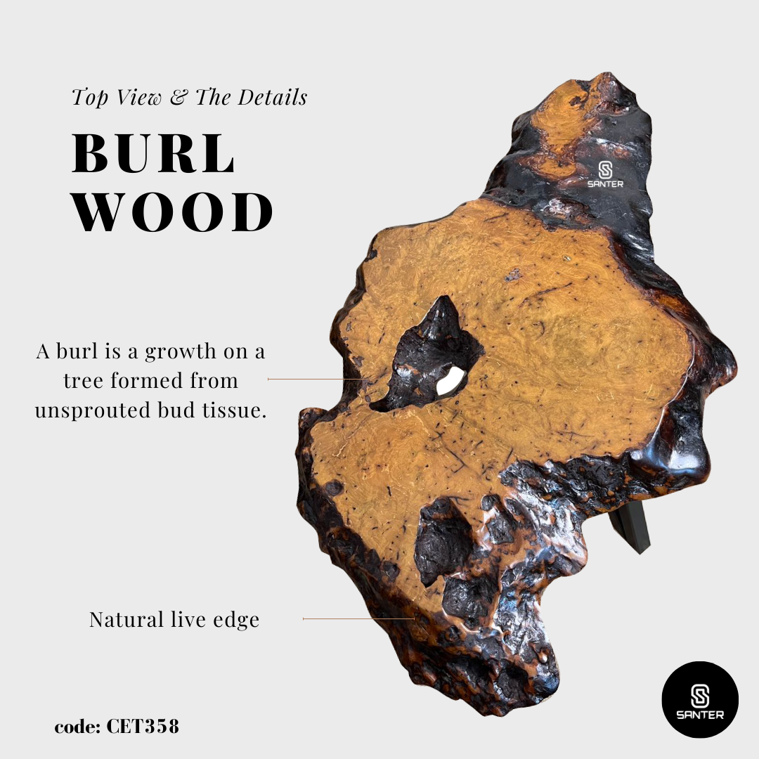 CET358. Chengal Emas Solid Wood Coffee Table/ Sofa Table (Burl Wood)