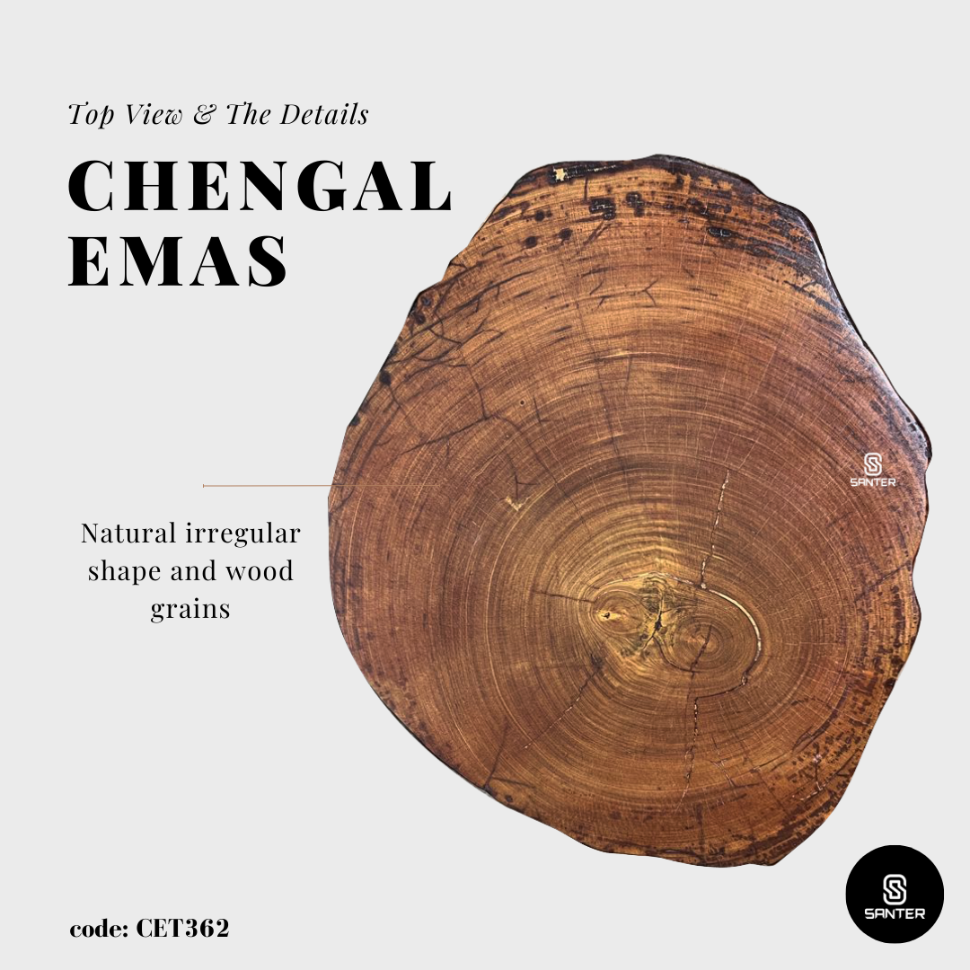 CET362. Chengal Emas Solid Wood Coffee Table/ Sofa Table