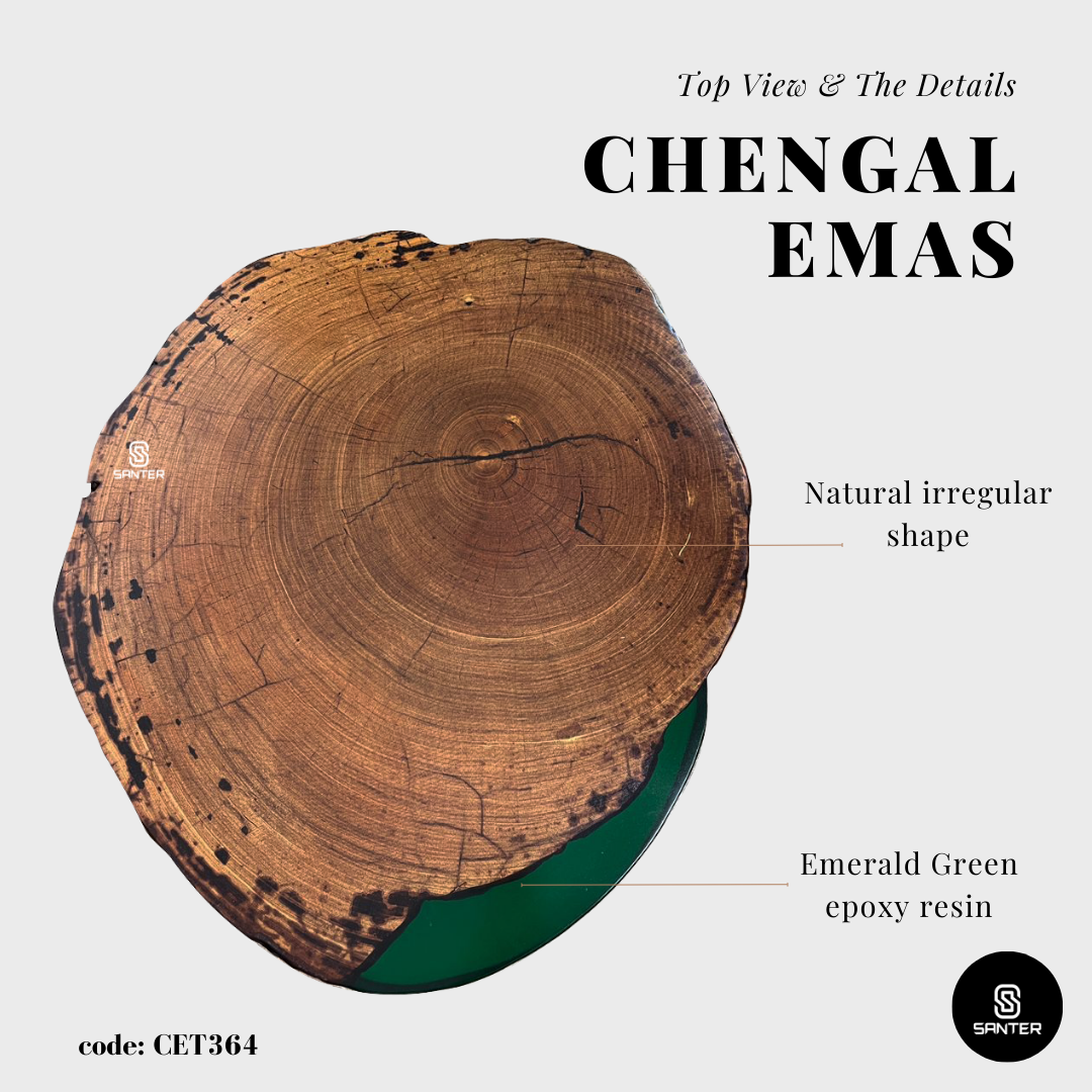 CET364. Chengal Emas Solid Wood Coffee Table/ Sofa Table (Emerald Green)